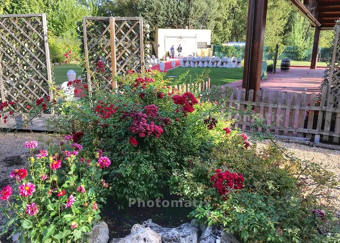 Rey Sancho 4* Паленсия