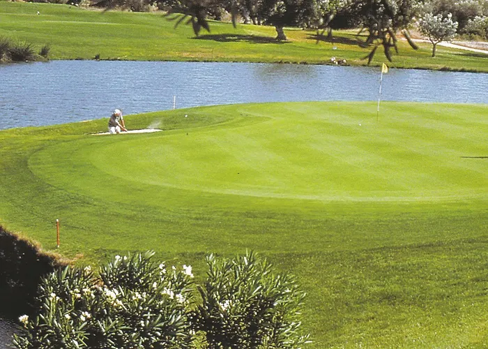 Отель Rey Sancho 4*