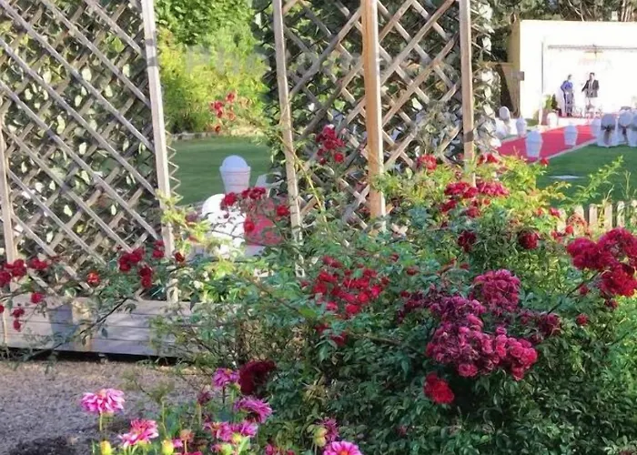 Rey Sancho Паленсия